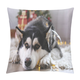 Personality  Funny Siberian Husky Dog In Christmas Themed Photoshoot. Pillow Covers