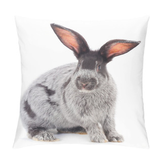 Personality  Gray Rabbit Isolated On A White Background. Pillow Covers