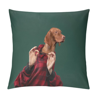 Personality  Hipster Dog In A Hooded Hoodie Holds Snacks With His Hands. Conceptual Portrait Of A Dog On A Green Background. Pillow Covers