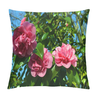 Personality  Camellia Japonica 'Ada Piper' Pillow Covers