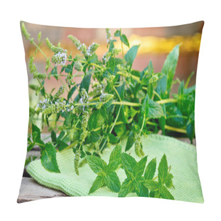 Personality  Peppermint Plant On The Green Towel In The Garden Pillow Covers