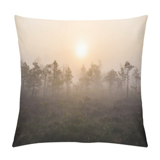 Personality  Cloudy Autumn Day In The Forest. Morning Fog And Green Pine Trees. Kemeri. Latvia Pillow Covers