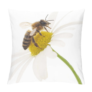 Personality  Honeybee And White Flower Pillow Covers