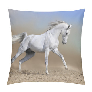 Personality  White Horse Stallion Run Gallop In Dust Pillow Covers