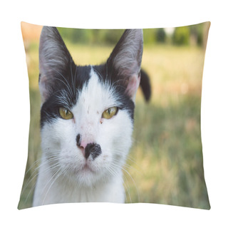 Personality  Close Up Portrait Of A Black And White Cat Pillow Covers