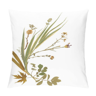 Personality  Dry Herbarium Plants Pillow Covers