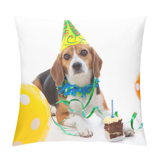 Personality  Pet First Birthday Party Celebration Pillow Covers