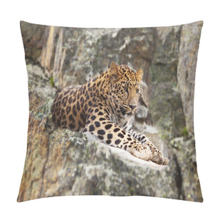 Personality  Jaguar On Rock Pillow Covers
