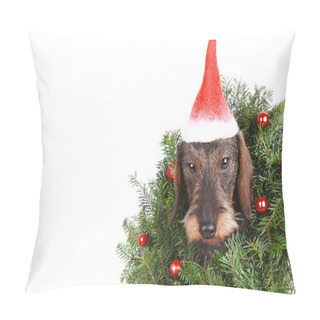 Personality  Haired Dachshund In The New Year Decor Isolated On White Pillow Covers