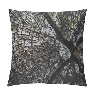 Personality  Top View Of Grungy Old Dried Stump In Park Pillow Covers