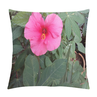 Personality  Dark Pink Hibiscus Flower  Pillow Covers