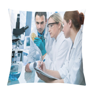 Personality  Laboratory Pillow Covers