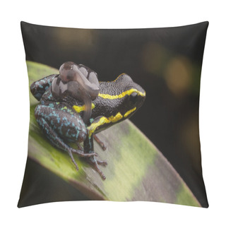 Personality  Poison Dart Frog Tadpoles Pillow Covers