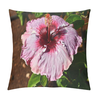 Personality  A Pretty Hibiscus Flower Pillow Covers