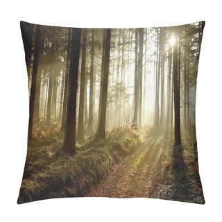 Personality  Forest Path At Sunset Pillow Covers