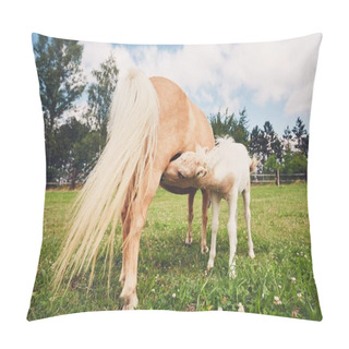 Personality  Miniature Horse On The Pasture Pillow Covers