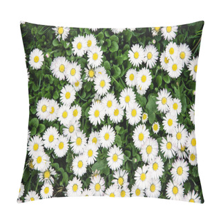 Personality  Background Of White Ox-eye Daisies In Spring Meadow Pillow Covers