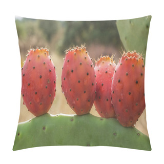 Personality  Opuntia Ficus Indica Pillow Covers