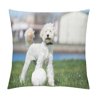 Personality  White Labradoodle Puppy Standing Outdoors With A Ball In Spring Pillow Covers