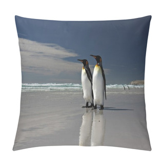 Personality  King Penguins At Volunteer Point Pillow Covers