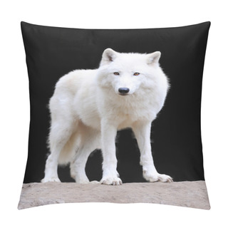Personality  White Wolf On Dark Background Pillow Covers