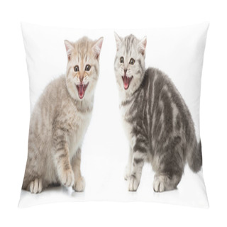 Personality  Collage Of Grey Cats Isolated On White Pillow Covers