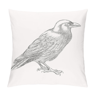 Personality  Black Raven Bird. Hand Drawn Vector Illustration.  Doodle Shadin Pillow Covers