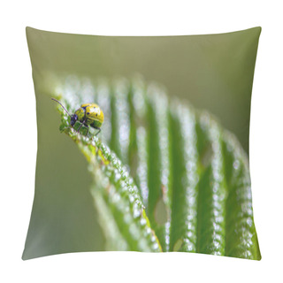 Personality  Macro Photography Of A Spotted Cucumber Beetle Feeding On An Alder Leaf. Captured At The Andean Mountains Of Central Colombia. Pillow Covers