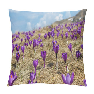 Personality  Crocuses Pillow Covers