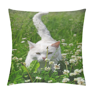 Personality  White Cat Walking In Grass. Pillow Covers