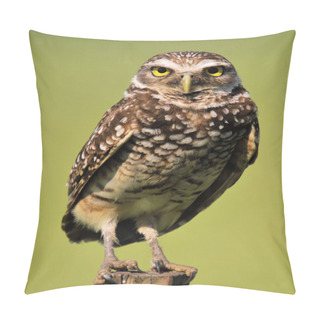 Personality  The Burrowing Owl Pillow Covers