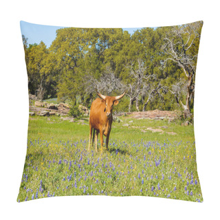 Personality  Beautiful Longhorn Cow Pillow Covers