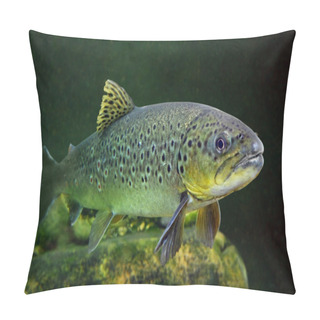 Personality  The Brown Trout. Pillow Covers