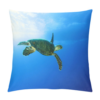 Personality  Green Turtle Pillow Covers