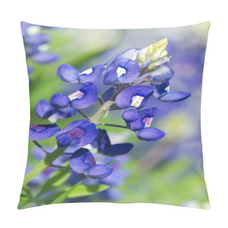 Personality  Texas Bluebonnets Pillow Covers