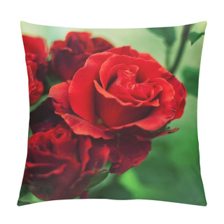 Personality  Red Rose On The Branch In The Garden Pillow Covers