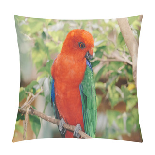 Personality  Beautiful Parrot Close Up Shot Pillow Covers