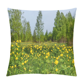 Personality  Beautiful Natural Background With Thin Long Birch Trees With Green Foliage And Yellow Wildflowers Trollius Europaeus In A Meadow In The Spring Pillow Covers