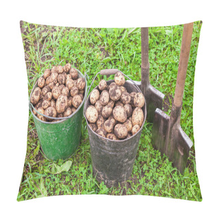 Personality  Freshly Dug Potatoes In Metal Buckets And Shovels At The Vegetab Pillow Covers