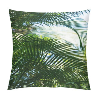 Personality  Palm Branches Pillow Covers
