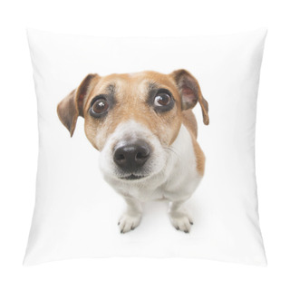 Personality  Cute Small Dog  Jack Russell Terrier Pillow Covers