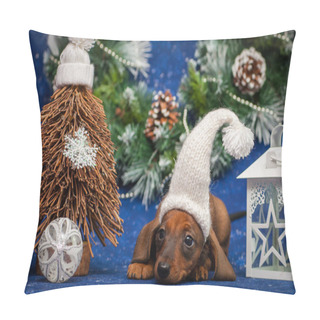 Personality  Dachshund Puppy Photo Session In The New Year's Location Pillow Covers