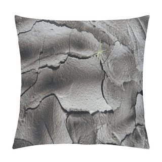 Personality  Young Green Plant On Dried Cracked Wasteland Surface, Global Warming Concept Pillow Covers
