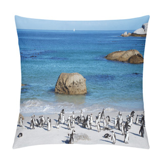 Personality  Penguin Colony On The Ocean Beach Near Capetown Pillow Covers