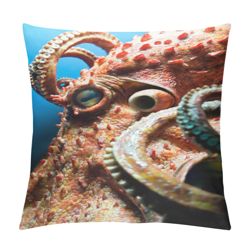 Personality  Head Of An Octopus Pillow Covers