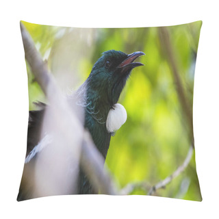 Personality  New Zealand Tui Singing In A Tree, Close Up Pillow Covers