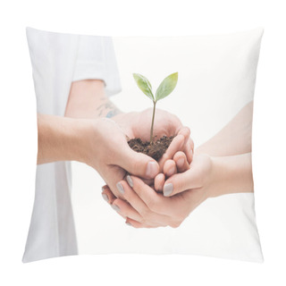 Personality  Selective Focus Of Couple Holding Ground With Green Plant In Hands Isolated On White Pillow Covers