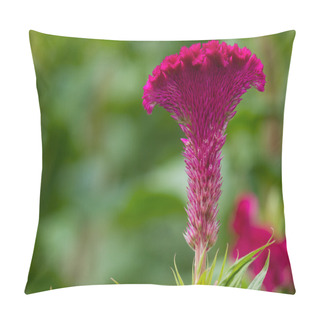 Personality  Cockscomb Flower Pillow Covers