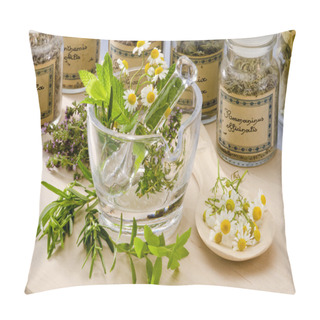 Personality  Herbal Medicine. Pillow Covers