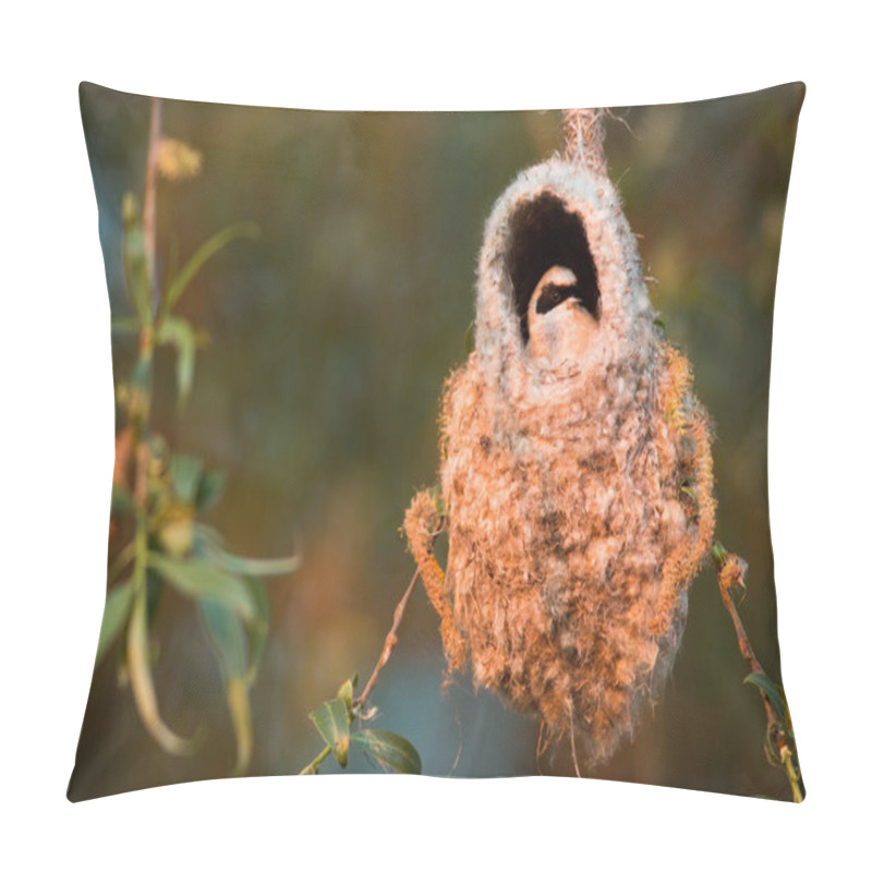 Personality  Eurasian Penduline Tit, Remiz Pendulinus, Peeking Out Of Nest In Evening Sun. Little Bird Sitting In Willow In Sunset. Songbird Looking On Tree In Woodland. Pillow Covers